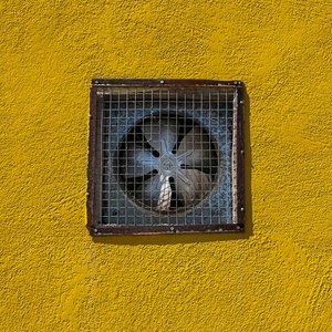 Tin flower. /Fior di latta.