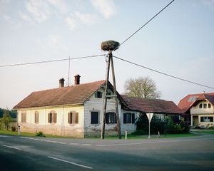 Stork's Nest