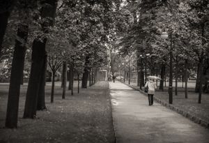 Distant Encounter