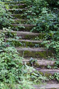 Old wooden stair