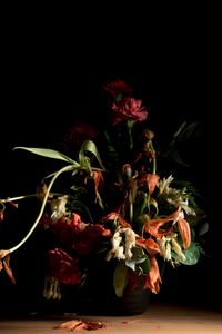 © Kathryn Jago