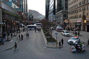 McGill College Avenue