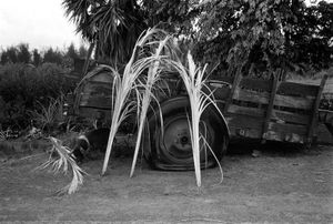 Cabañas, Cuba, 2001 © Peter Kayafas