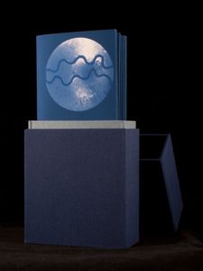 Transmission Artist Book: Syphilis
