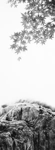 Momiji