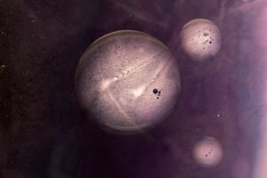 Other Worlds