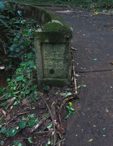 untitled, Old Pali Highway, Oahu 2019-20