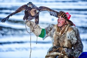 Eagle Hunter Asker CO083