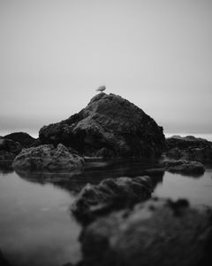 Coastal Shore 8