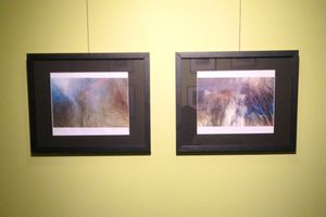 Panoramas I and II