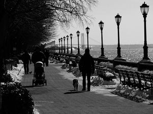 Walkers and Strollers