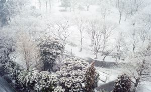 snow