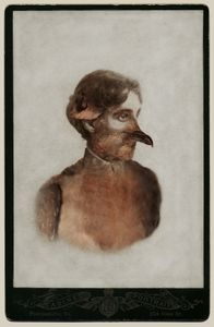 Aviary