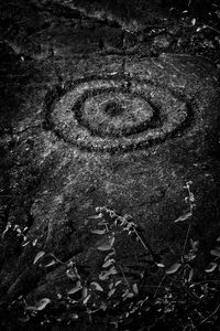 Hawaiian Petroglyph 7