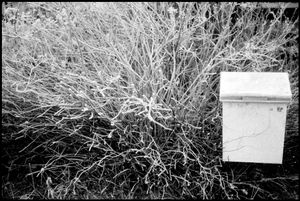 My mailbox Partille Sweden