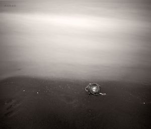 A ball on the sand