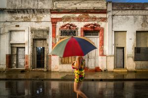 Rain