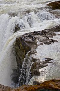 Foss 31