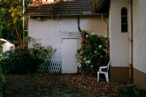 In My Hood #3
