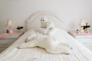 The White Cat, England