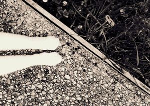 Stray Cats_11