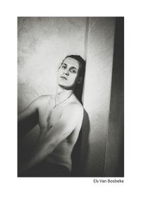 Sander