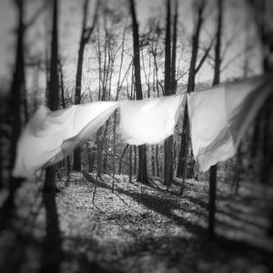 Three Sheets