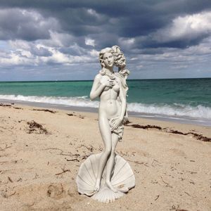 THE VENUS PROJECT