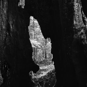 © Stuart Rome