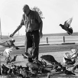 For the birds