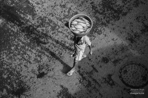 A man carrying fish | Bombay, India.