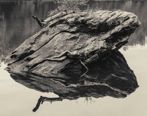 "Reflection Pool" - This first photograph describes the initial pre-birth stage of life: Innocent, pure, almost invisible. Naked and bare, soft and delicate, as "the spirit of God hovered upon the water" in the initial chapter of the book of Genesis.