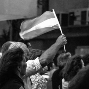 La bandera en un puño.
