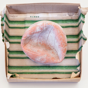 Belice Valley, Sicily. A old ball found in Montevago.