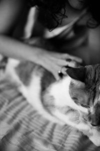 Toulouse & Rachel, on the bed.