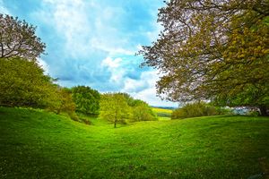 Landscape 1