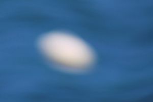 cosmic dust 06