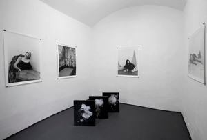 Installation view, Jeleni Gallery, Prague