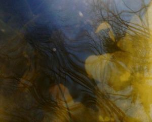 (3) submerged twilight