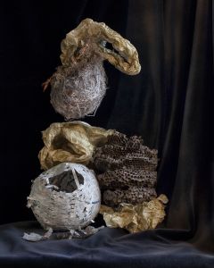 Hive, Nest, Tissue, Text collage