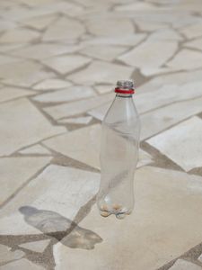 Bottle
