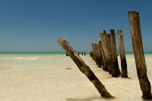 Rebel - Holbox - Mexico - 2015