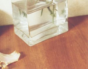 from the series Grains of existence
