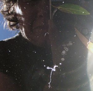 Life In Water