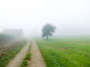 captured with a digital camera