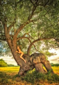 Hemingford Abbots Willow Beast