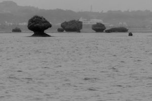 Drizzling Bay-02