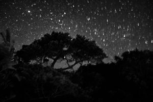 Stars.jpg