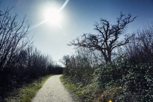 Sun Off Moon - Epsom Downs