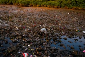A piedi nudi nel fango.